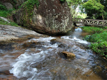 About Chiang Mai